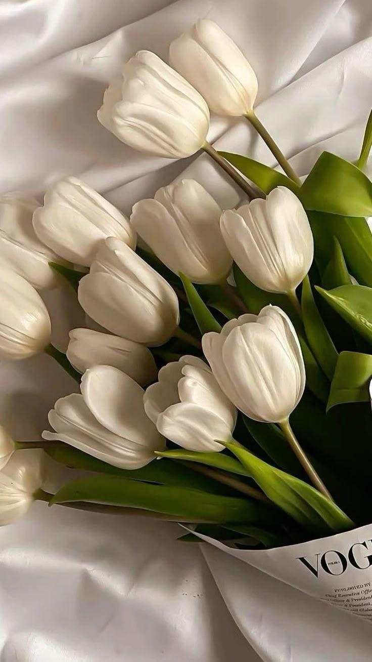Celestial Night Blooms Treasure